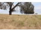 1 Bluff Road, Gretna TAS 7140