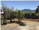 4 Dumas Place, West Moonah TAS 7009