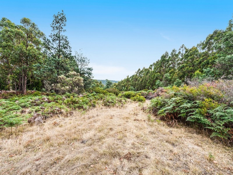 79 Marriotts Road, Ellendale TAS 7140