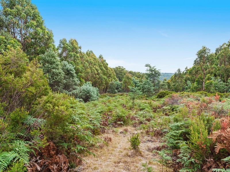 79 Marriotts Road, Ellendale TAS 7140