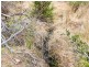 79 Marriotts Road, Ellendale TAS 7140
