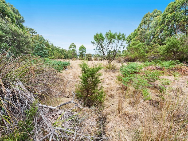 79 Marriotts Road, Ellendale TAS 7140
