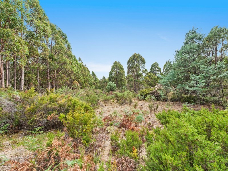 79 Marriotts Road, Ellendale TAS 7140