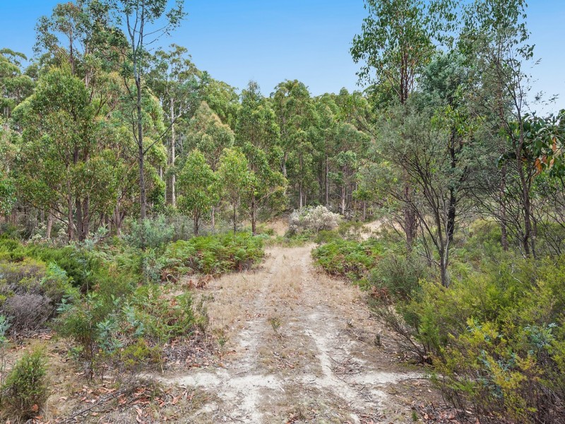 79 Marriotts Road, Ellendale TAS 7140