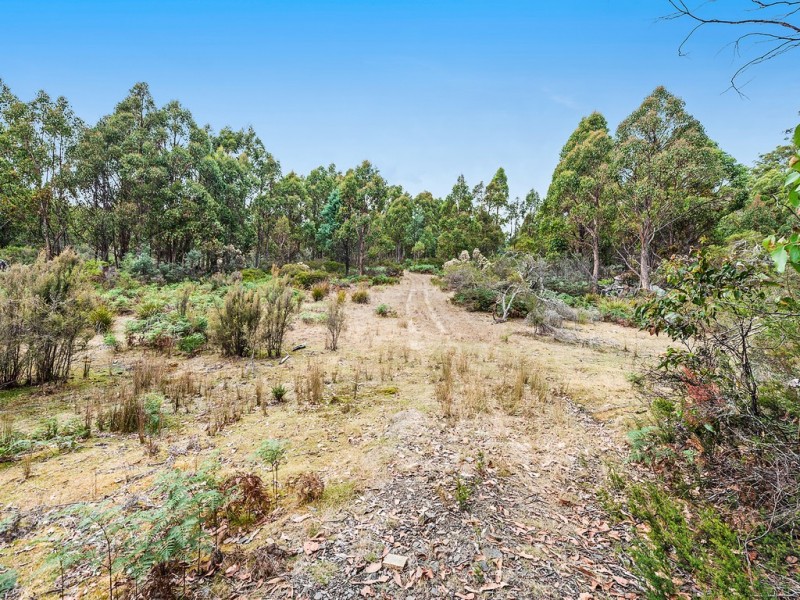 79 Marriotts Road, Ellendale TAS 7140