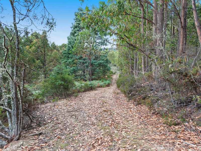 79 Marriotts Road, Ellendale TAS 7140