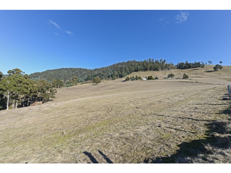 Lot 2 Moss Beds Road, Lachlan TAS 7140