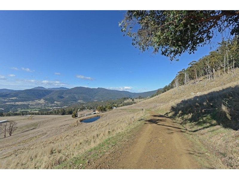 Lot 2 Moss Beds Road, Lachlan TAS 7140