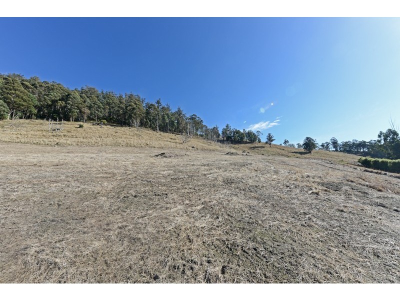 Lot 2 Moss Beds Road, Lachlan TAS 7140