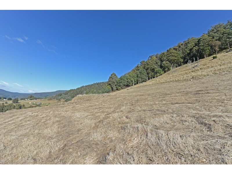 Lot 2 Moss Beds Road, Lachlan TAS 7140