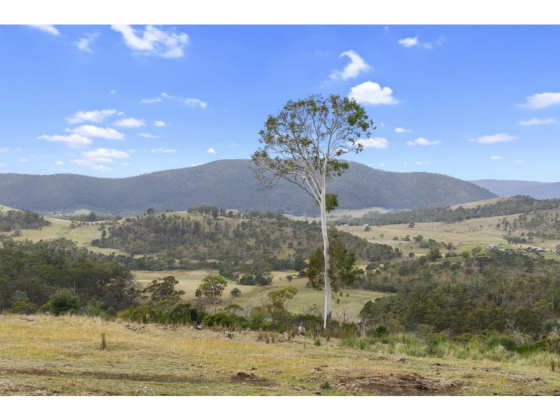 268 Grices Road, Tea Tree TAS 7017