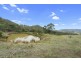 268 Grices Road, Tea Tree TAS 7017