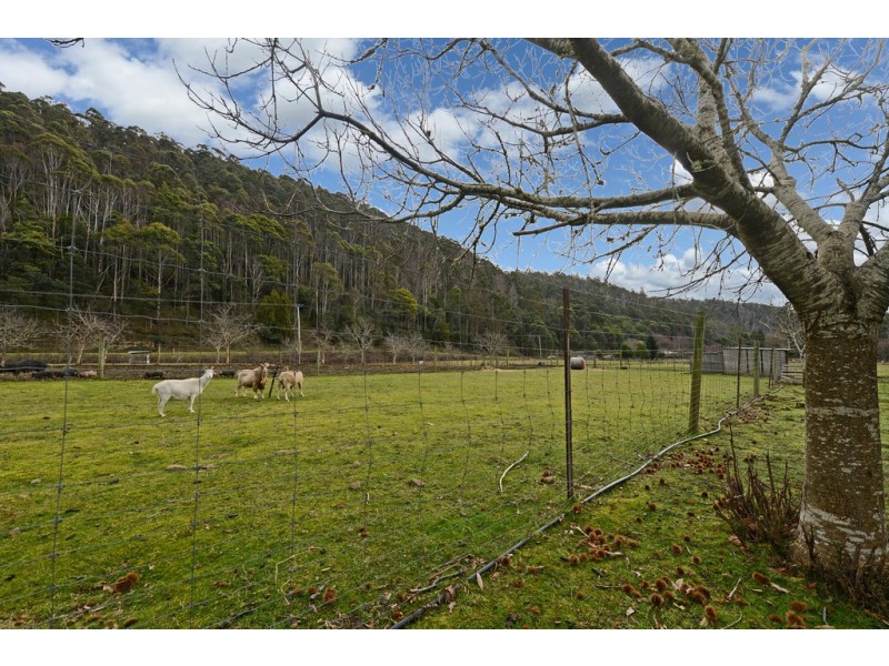 859 Lachlan Road, Lachlan TAS 7140