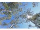 71 Moogara Road, Moogara TAS 7140