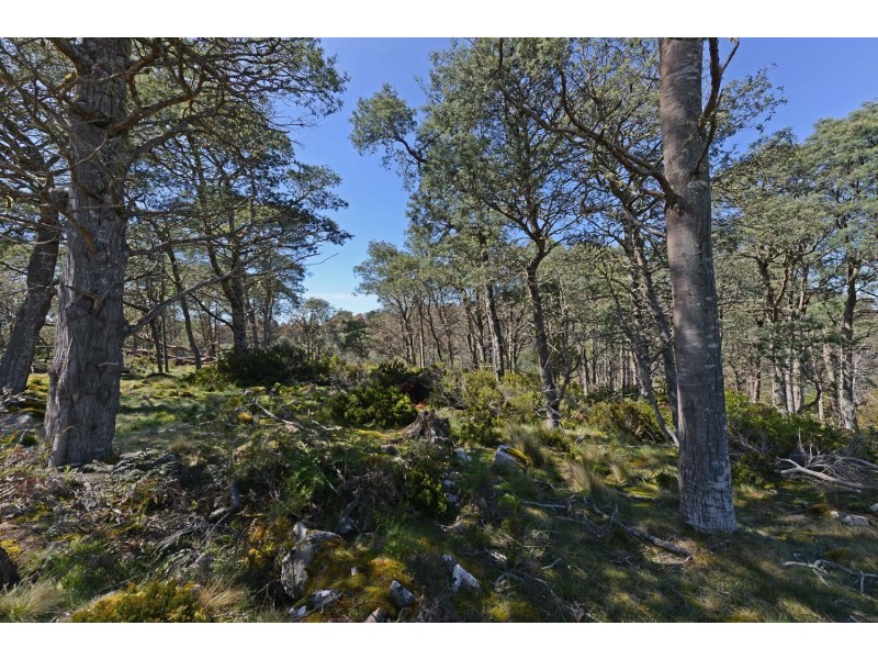 0 Victoria Valley Road, London Lakes TAS 7140