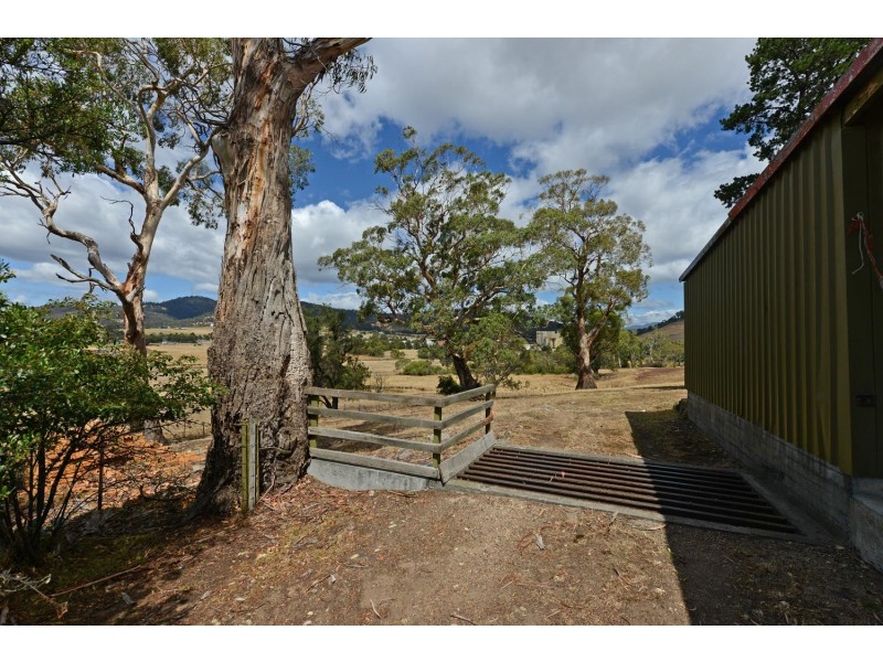 56 Backhouse Lane, Cambridge TAS 7170