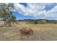 56 Backhouse Lane, Cambridge TAS 7170