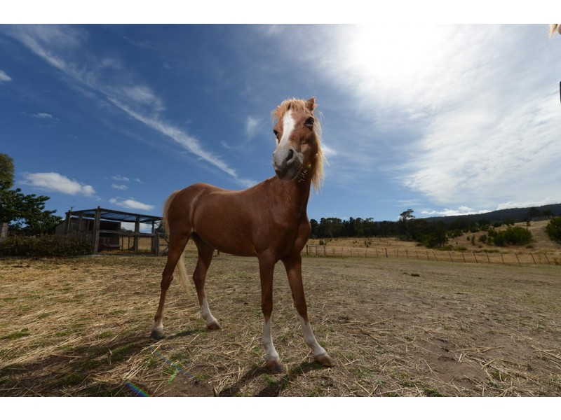 198 Ballyhooly Road, Mangalore TAS 7030