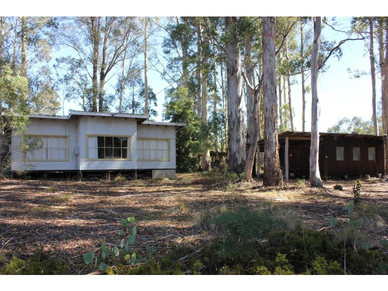 230 and 232 Bradys Lake Road, Bradys Lake TAS 7140