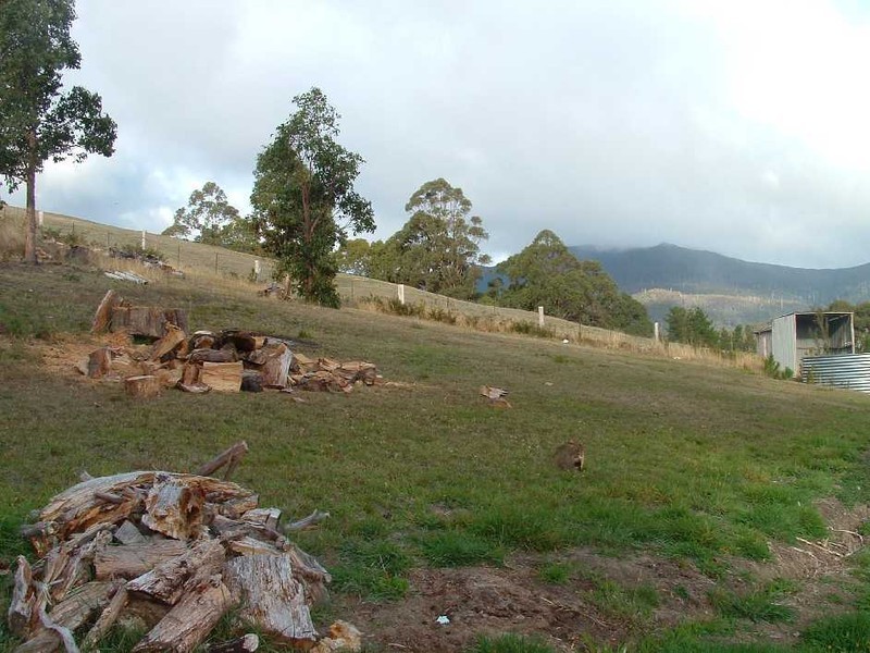 Collinsvale TAS 7012