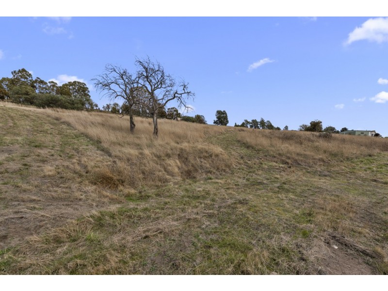 45 Ely Street, Dysart TAS 7030