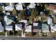 163 Chapel Street, Glenorchy TAS 7010