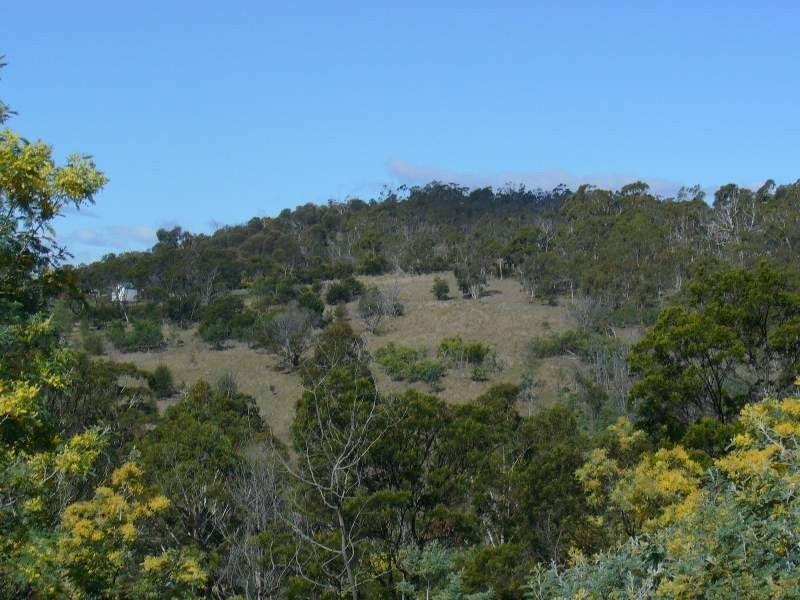 Berriedale TAS 7011