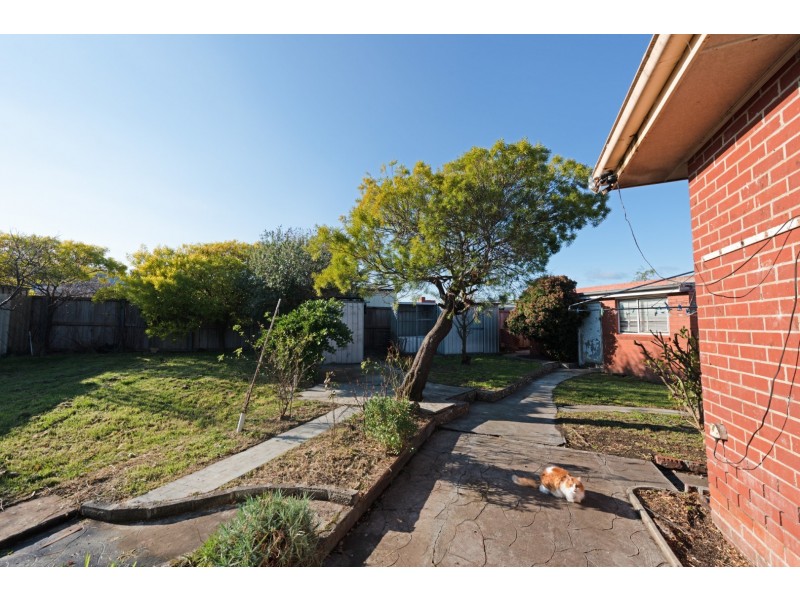 14 Phillips Avenue, New Norfolk TAS 7140
