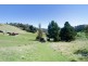 409 Collinsvale Road, Collinsvale TAS 7012