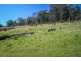 409 Collinsvale Road, Collinsvale TAS 7012