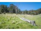 409 Collinsvale Road, Collinsvale TAS 7012
