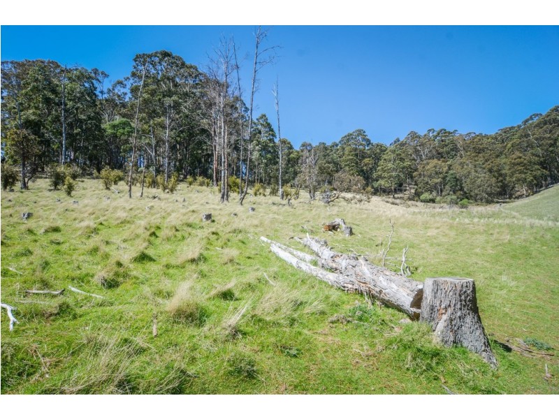409 Collinsvale Road, Collinsvale TAS 7012