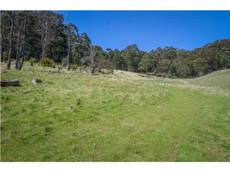 409 Collinsvale Road, Collinsvale TAS 7012