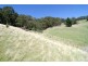 409 Collinsvale Road, Collinsvale TAS 7012