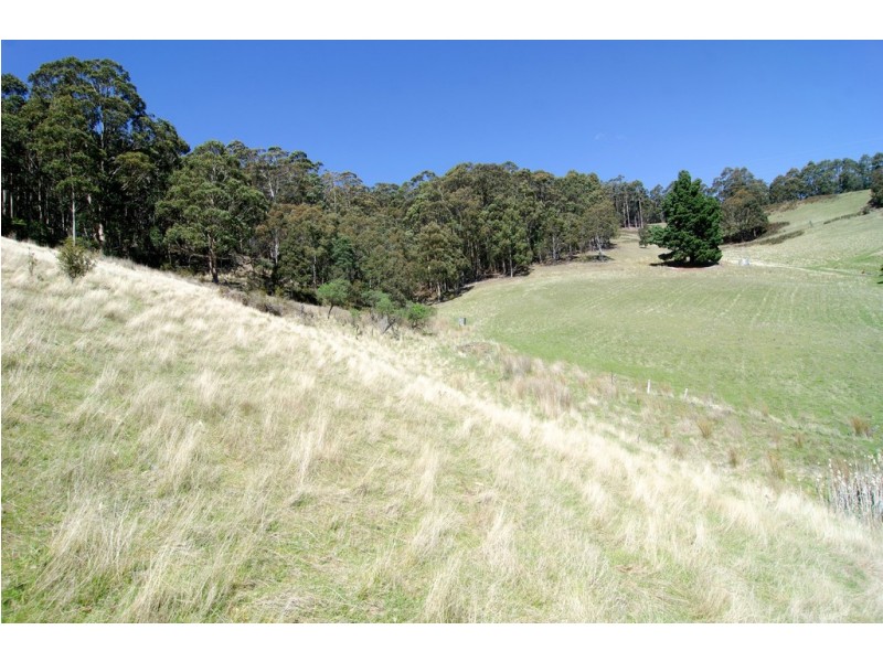 409 Collinsvale Road, Collinsvale TAS 7012