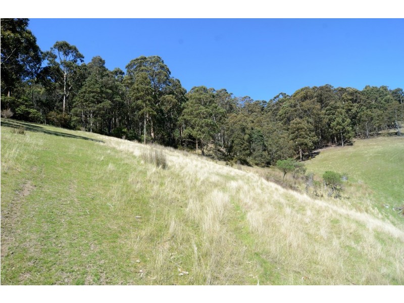 409 Collinsvale Road, Collinsvale TAS 7012