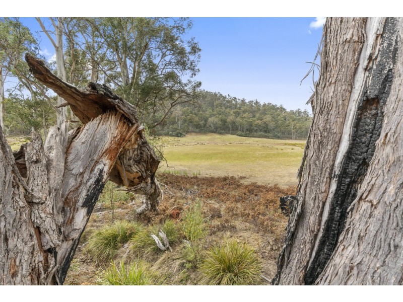 Lot 1 Link Road, Colebrook TAS 7027