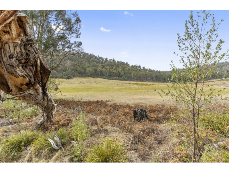 Lot 1 Link Road, Colebrook TAS 7027