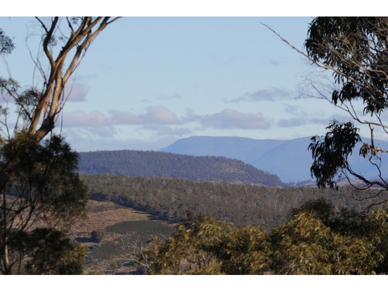 Lot 1 Link Road, Colebrook TAS 7027