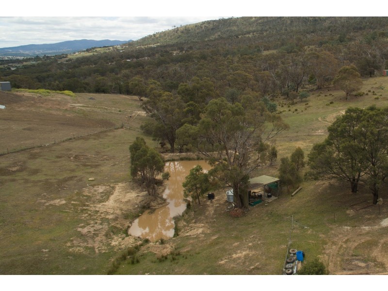 99 Honeywood Drive, Honeywood TAS 7017