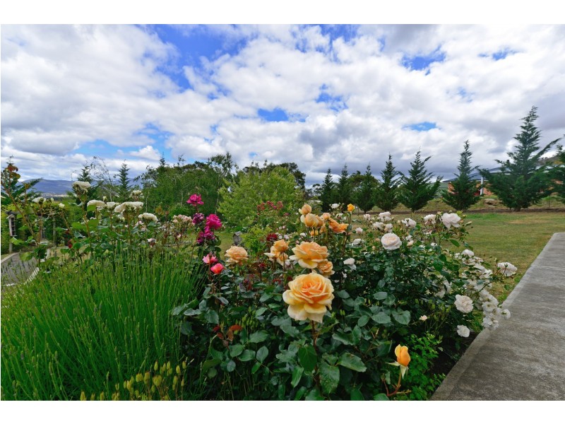 63 Upton Drive, Honeywood TAS 7017