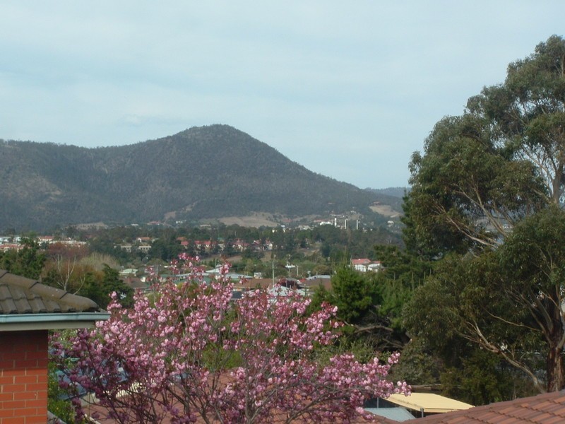 Claremont TAS 7011