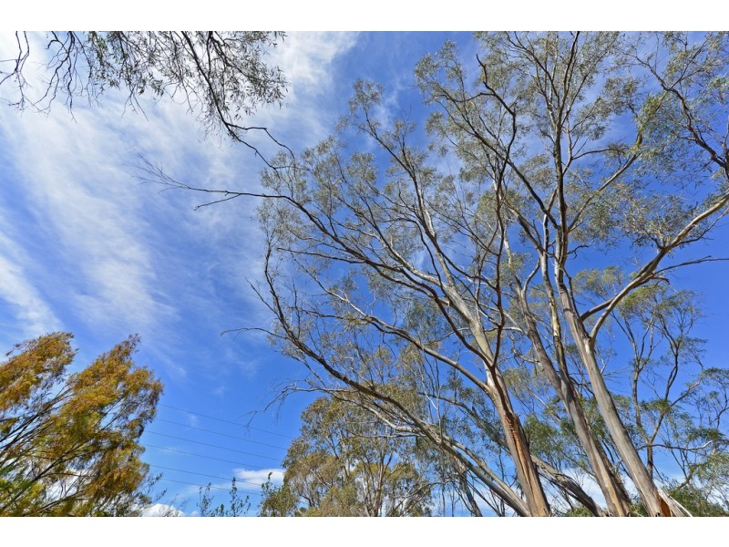 50 Piper Road, Geilston Bay TAS 7015