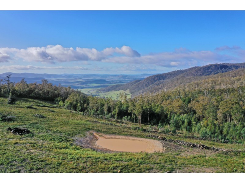 319 Yearsley Road, Broadmarsh TAS 7030