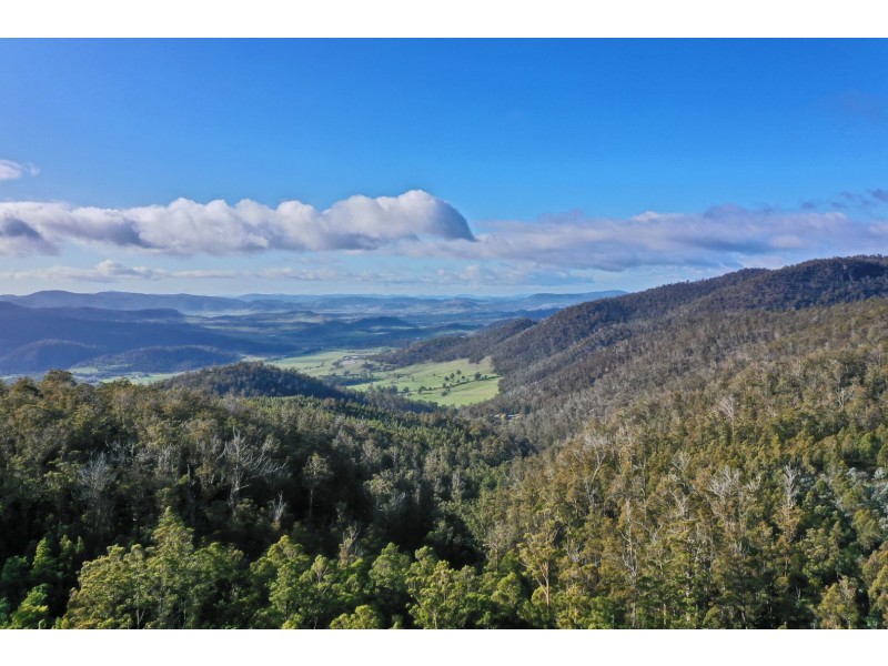 319 Yearsley Road, Broadmarsh TAS 7030