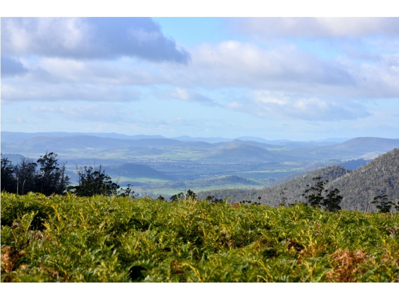 319 Yearsley Road, Broadmarsh TAS 7030