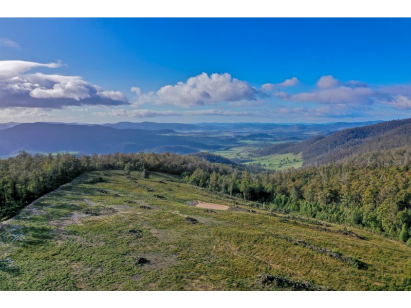 319 Yearsley Road, Broadmarsh TAS 7030