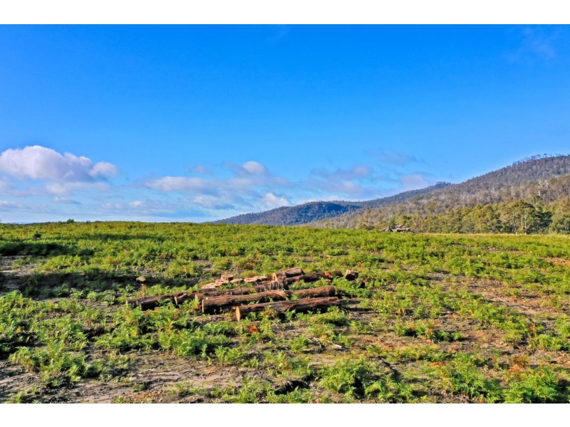 319 Yearsley Road, Broadmarsh TAS 7030