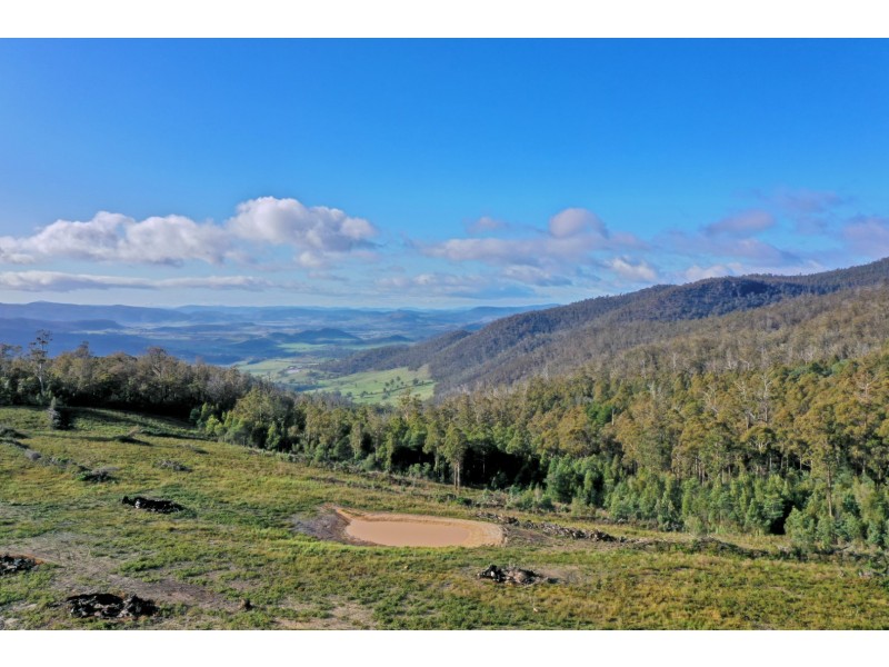 319 Yearsley Road, Broadmarsh TAS 7030