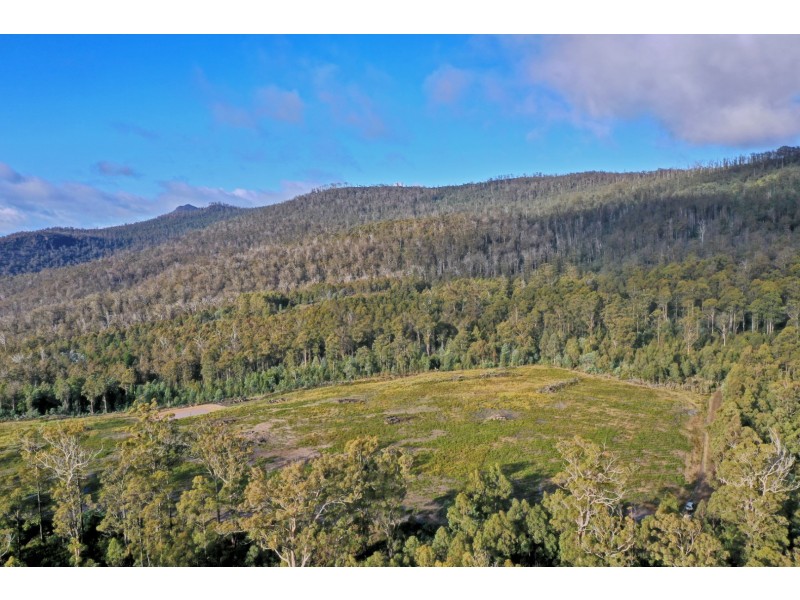 319 Yearsley Road, Broadmarsh TAS 7030